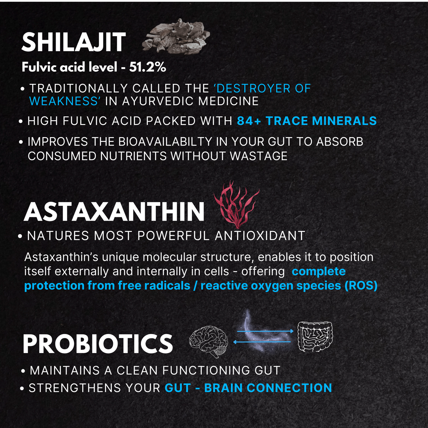 Flow State Mushroom Complex Synergized with Shilajit, Astaxanthin, Probiotics and Vitamins